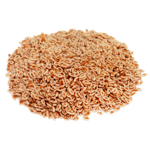 psyllium-1.png